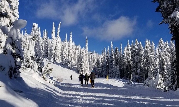 Big White Ski Resort Condo | 🎿 Ski-In/Ski-Out | 2Bed/2Bath Condo | 🚶‍♂️ Walk to Village