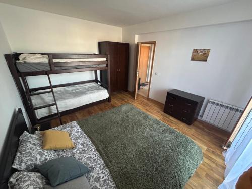 Shiligarnika Apartment | Ski-in ski-SPA at Mountain View