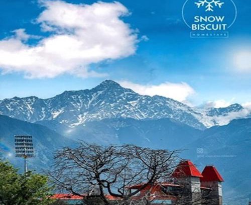 Sidhpur Apartment | Snow Biscuit Villa