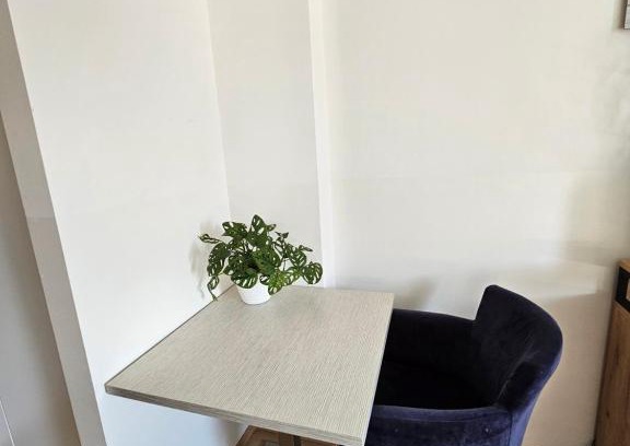Maribor Apartment | soba v Pekrski vili