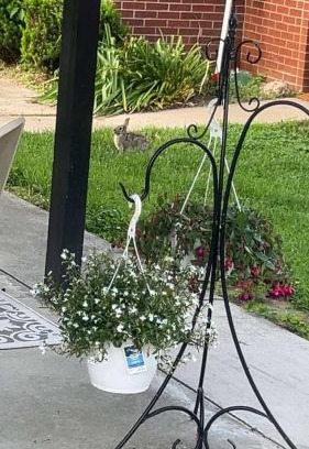 Washington House | Sonnys place