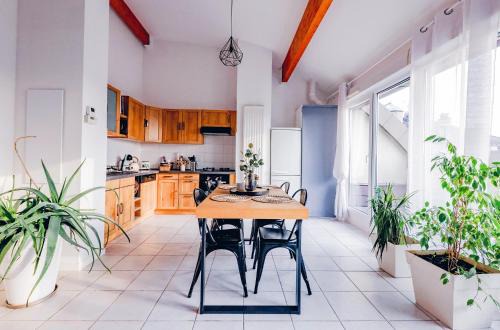 Thonon-les-Bains Apartment | Sous les Toits de Thonon