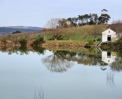 Grabouw House | South Hill