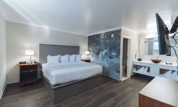 Ocala Hotel | Spa Suite at Equus Inn, Free Breakfast & Parking, Pet-friendly