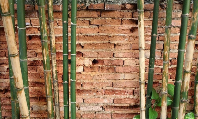 Lindenwood Park Condo | Spacious 5-bedroom condo with AC and WiFi in beautiful St. Louis