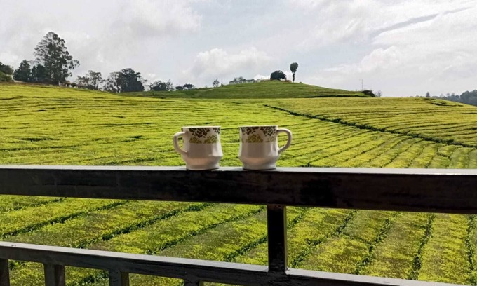 West Mere House | Spacious and serene space with Tea Estate view from every room.n