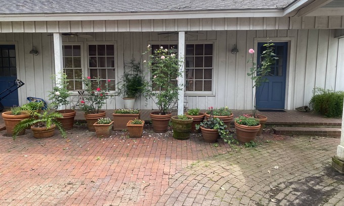 Jefferson House | Spacious Carriage House with garden patio