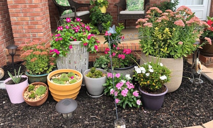 Conestee House | Spacious & charm 1- level 3-bedroom house w/ views