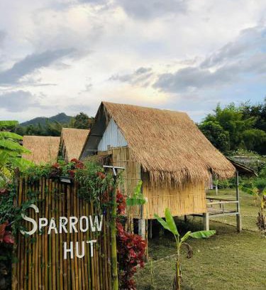 Pai Other | Sparrow Hut