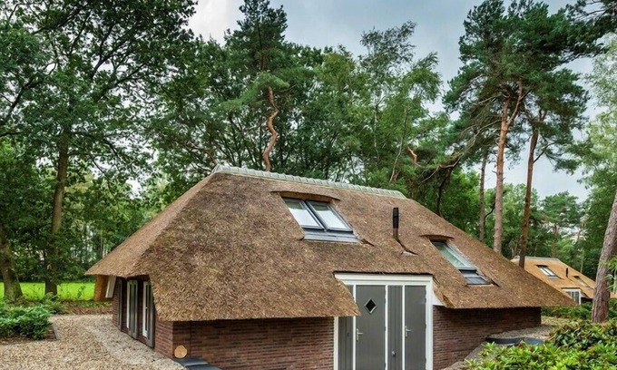 Krachtighuizen Villa | Sprielderbosch 24 Luxury holiday rental in the woody Veluwe region