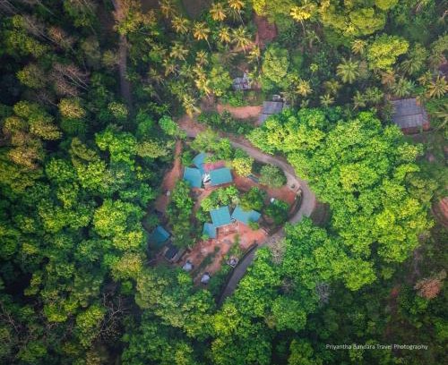 Warakapola Other | Sri Craft Algama