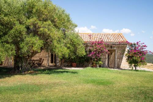 Sa Castangia House | Stazzo Spiteddu with Pool