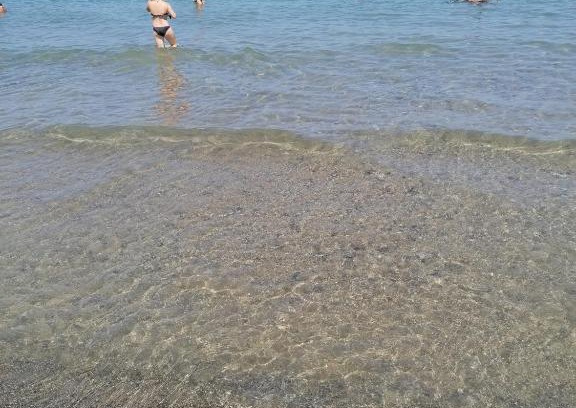 Campofelice di Roccella House | Stella marina