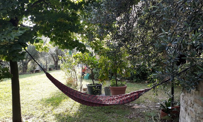 Rotella House | Stone house large garden among olive and oak trees, pets allowed