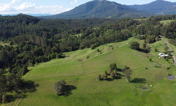 Nimbin Cabin | Stoney Chute Eco-Cabin 1 : accessible, quiet retreat 5km from Nimbin.