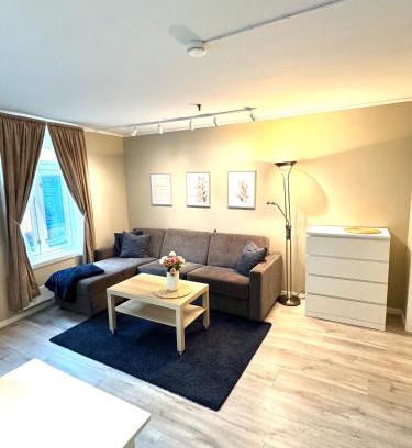 Trondheim City Centre Apartment | Stor attraktiv studioleilighet i sentrum