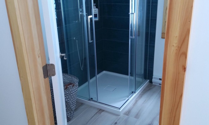 St-Adolphe-d'Howard Apartment | Studio à Louer