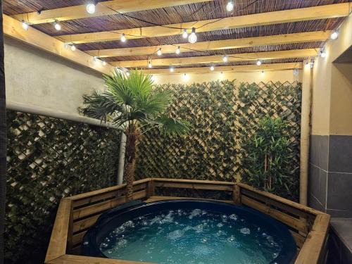 Cote Ouest Ormeaux Apartment | Studio avec jacuzzi Coty