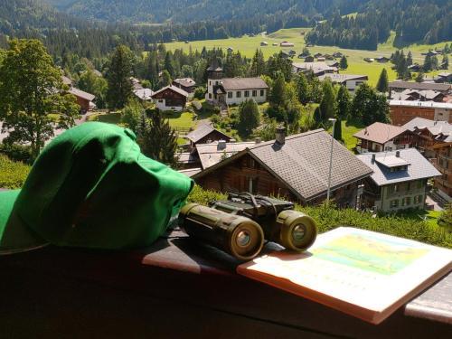 Ormont-Dessus Apartment | Studio avec vue splendide sur les Diablerets