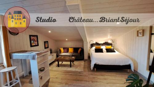 Chateaubriant Apartment | Studio-centre ville