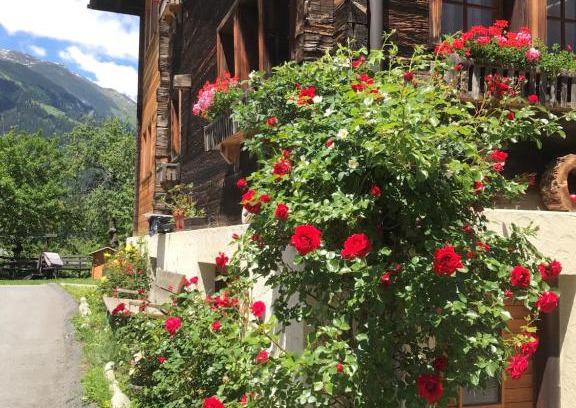 Ernen Apartment | Studio Clausen Kurt