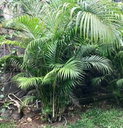 Teva I Uta Apartment | Studio Kumbaya