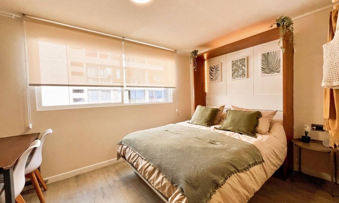 Downtown Santiago Apartment | Studio Santa Elvira - Laundry Wifi