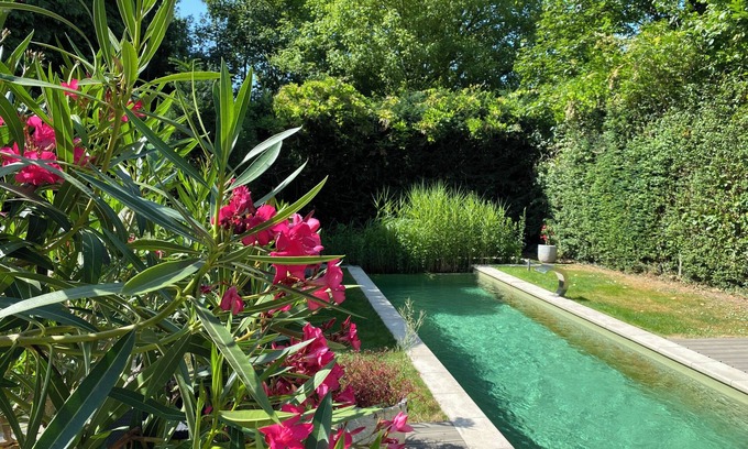 Dilbeek Apartment | Studio with private natural pool. A haven of peace just outside Brussels!