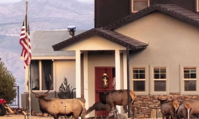 Kingman House | Stunning 3 bedroom walk out basement above Kingman AZ in the Hualapai Mountains