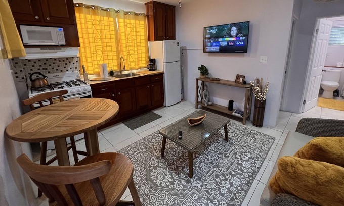 Belize City Condo | Stunning Belizean 1 Bd Condo w/Parking, AC, & wifi