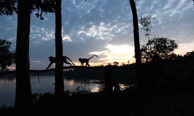 Jinja Cottage | Stunning Nile River cottage - on the river bank