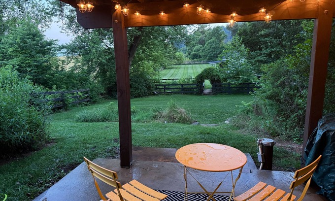 Bluemont Apartment | Stylish 1-bd/1-ba gardern apt within quaint Bluemont village, walk to wineries.