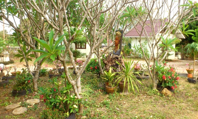 Wang Saphung Hotel | Suan Lamyai Resort