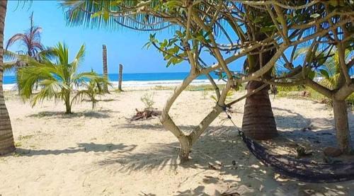 Montanita Apartment | Suit frente al Mar