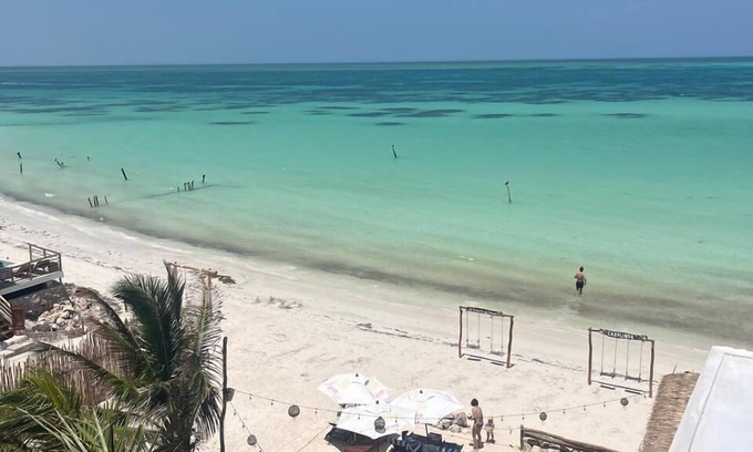 Isla Holbox Hotel | sunsteps casa holbox