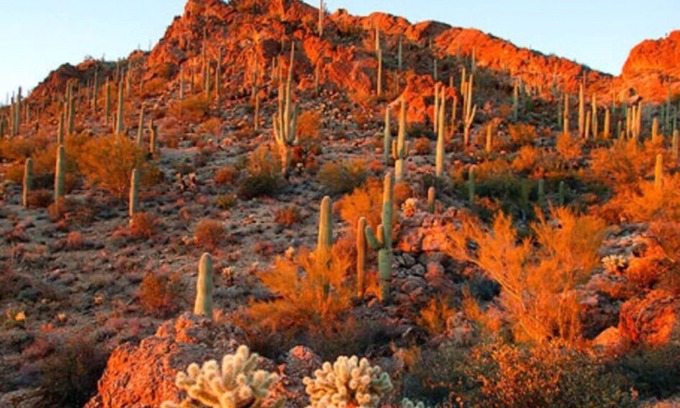 Tempe House | Sunswept Skies- WM Open Feb 2-8 Book Now!