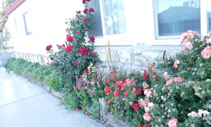 Seligman Hotel | Supai Motel