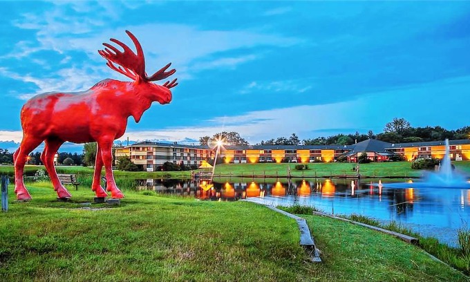 Black River Falls Hotel | SureStay Plus Hotel by Best Western Black River Falls