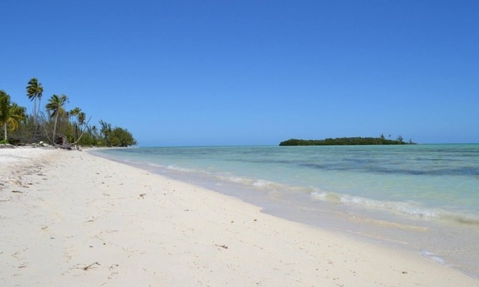 Mangrove Cay Resort | Swains Cay Lodge