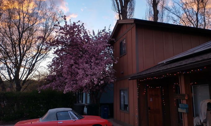 Coconino Estates House | Sweet Private 2 room Guest Suite near Downtown Flagstaff and Snowbowl