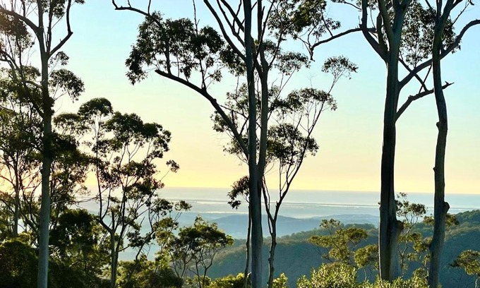 Mount Tamborine Apartment | Tamborine Mountain Lodge