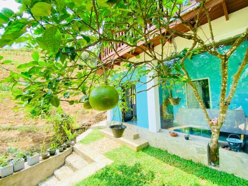 Deraniyagala House | Tea cabin by Hoyts