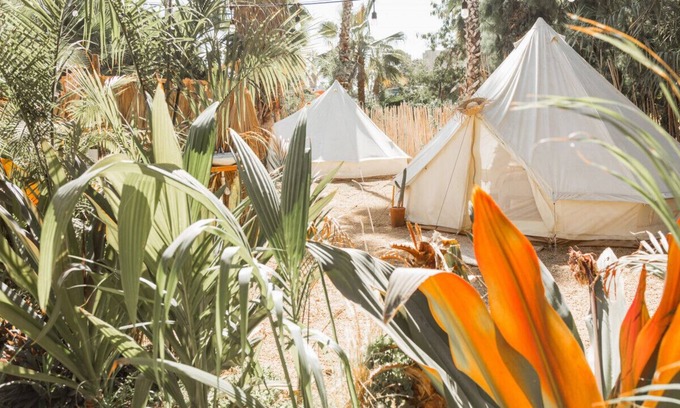 Todos Santos RV Rental | Tent 1 · Cien Palmas - Glamping Tent 1 - Downtown