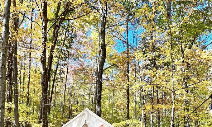 Ellenville RV Rental | Tentrr Signature Site - Retreat East Co, The Forest Experience