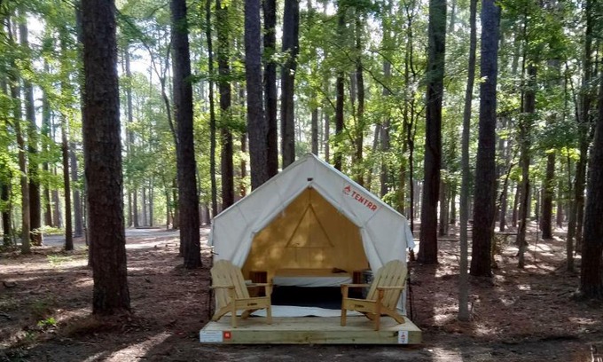 Zwolle Other | Tentrr State Park Site - Louisiana North Toledo Bend State Park - Forest Glade H - Single Camp