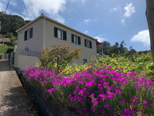 Porto da Cruz House | Terra Batista house