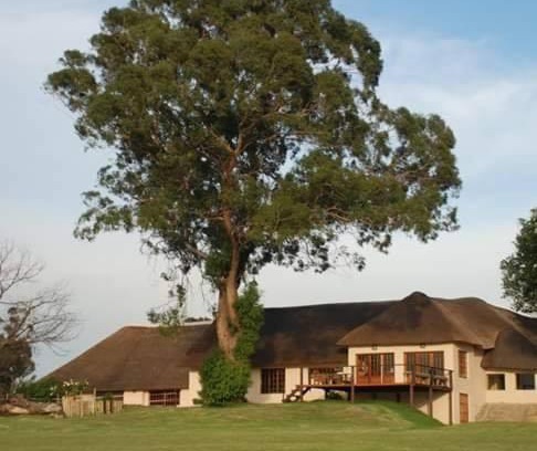 Govan Mbeki Hotel | ThakhuBrunfelsia