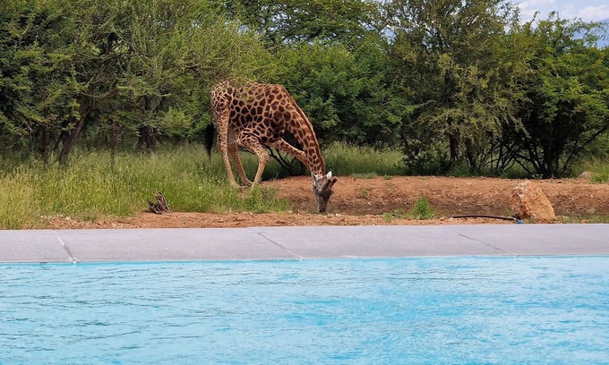 Maruleng Hotel | Thandolwami Bush Lodge & Spa