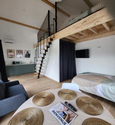 Jonage Apartment | THE BEDROOM - proche aeroport Lyon, groupama stadium, ldlc arena, eurexpo, viaRhôna