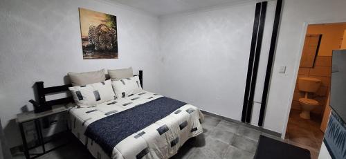 Greater Johannesburg Metropolitan Area Hotel | The Big 5 - Leopard